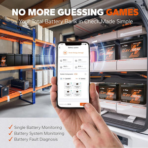 LiTime 12V 100Ah Group 24 Smart LiFePO4 Battery – Now Available in Canada