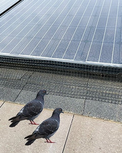Solar Super Store's Critter Guard Kit with 6In x 100Ft Critter Guard with Scissors & Gloves