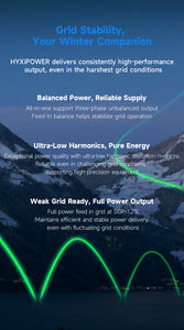 Hyxi Sub-1G Dual Microinverter 1000W AC